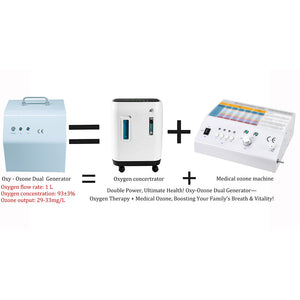 All in One Easy Operation Home Ozone Sauna Machine Kit Set