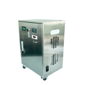 10g Ozonizer Ozone Water Purifier Water Ozone Generator